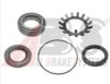 AUGRO 51882066 Wheel Bearing Kit